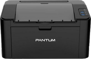 PANTUM P2500